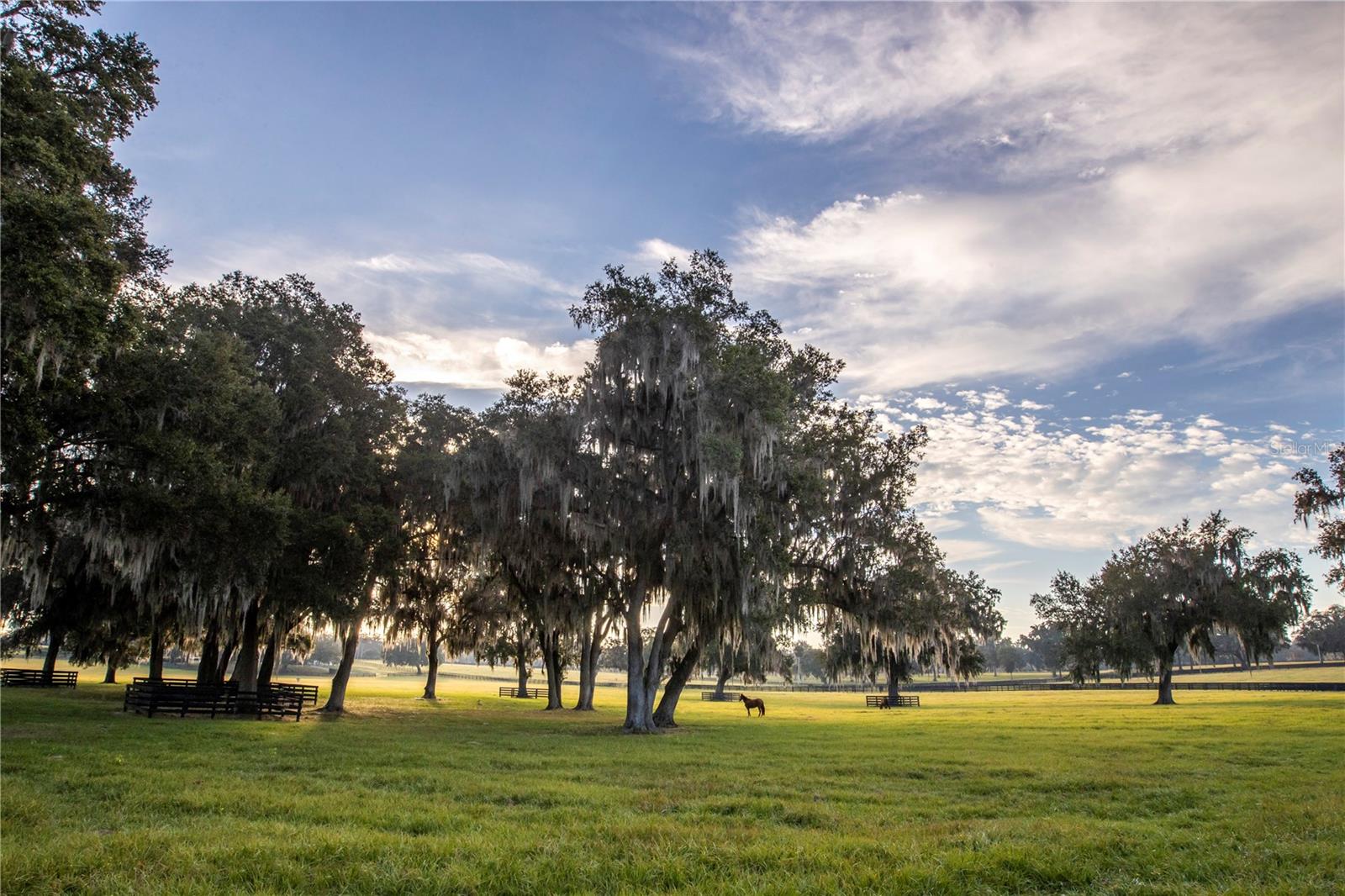 ACREAGE NON SUBDIVISION - Residential