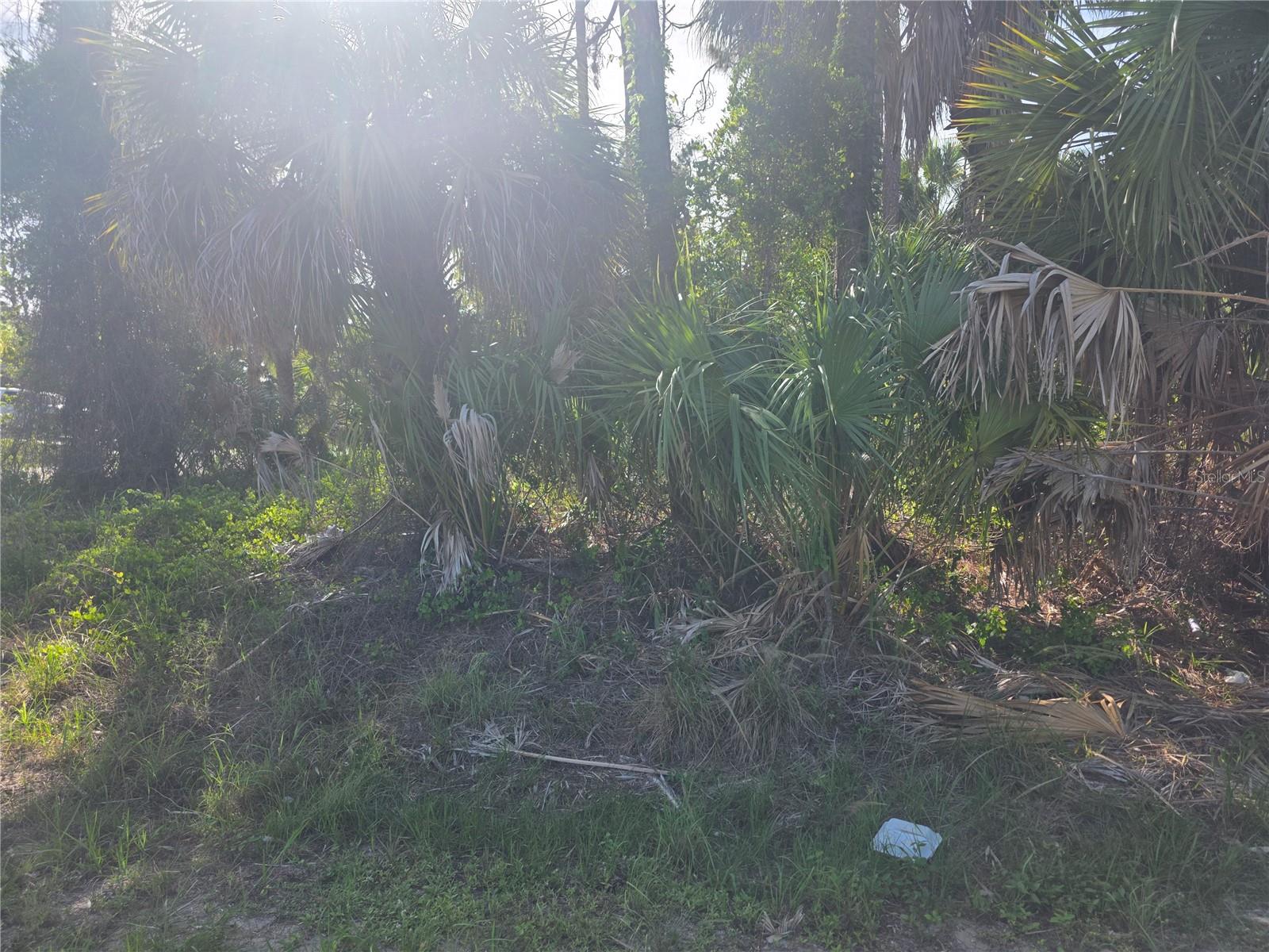 PORT CHARLOTTE SUB 06 - Land