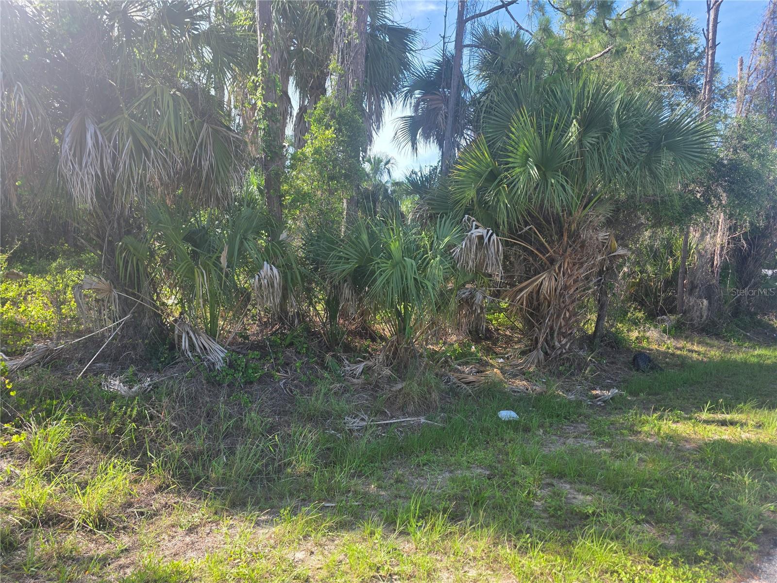 PORT CHARLOTTE SUB 06 - Land