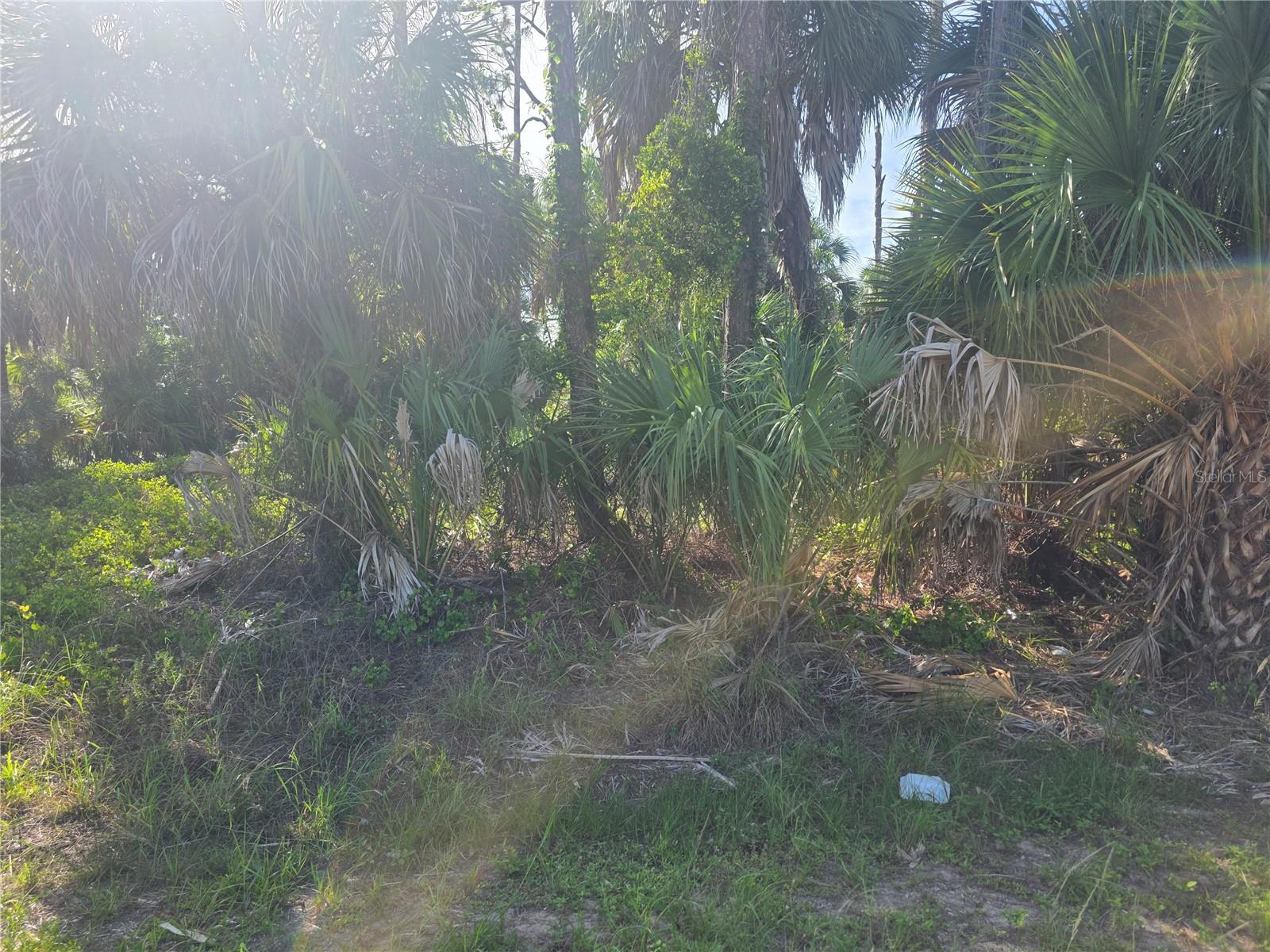 PORT CHARLOTTE SUB 06 - Land