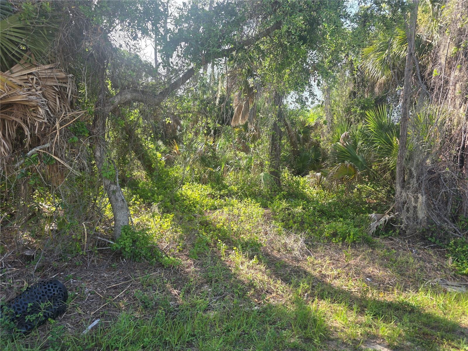 PORT CHARLOTTE SUB 06 - Land