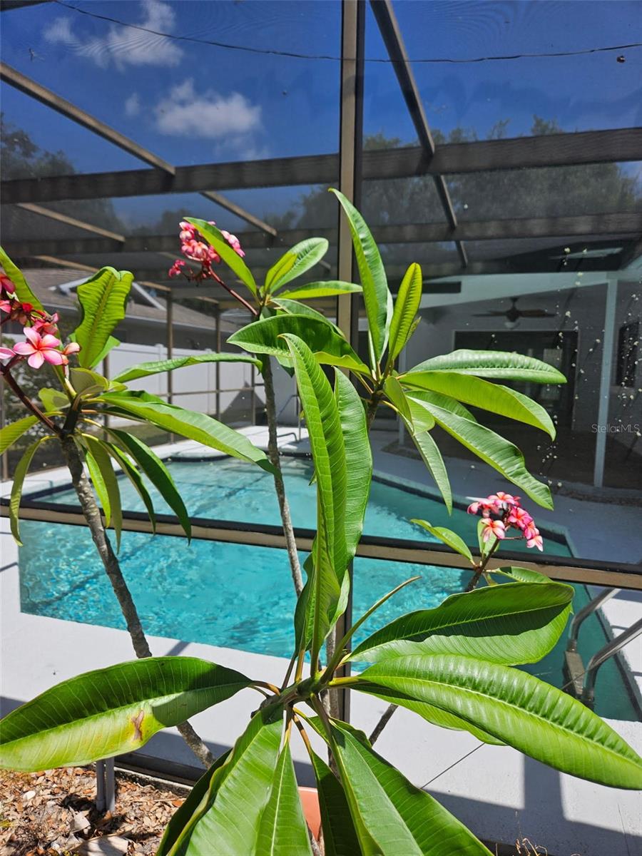 COUNTRY VILLAS-UNIT TWO - Residential