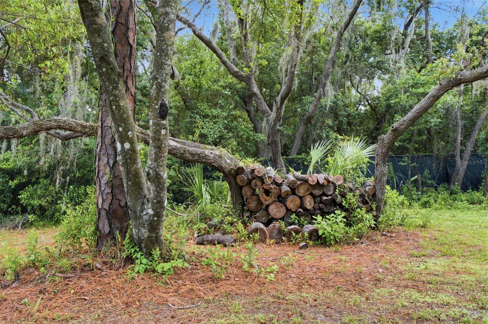 MEADOWOOD - Residential