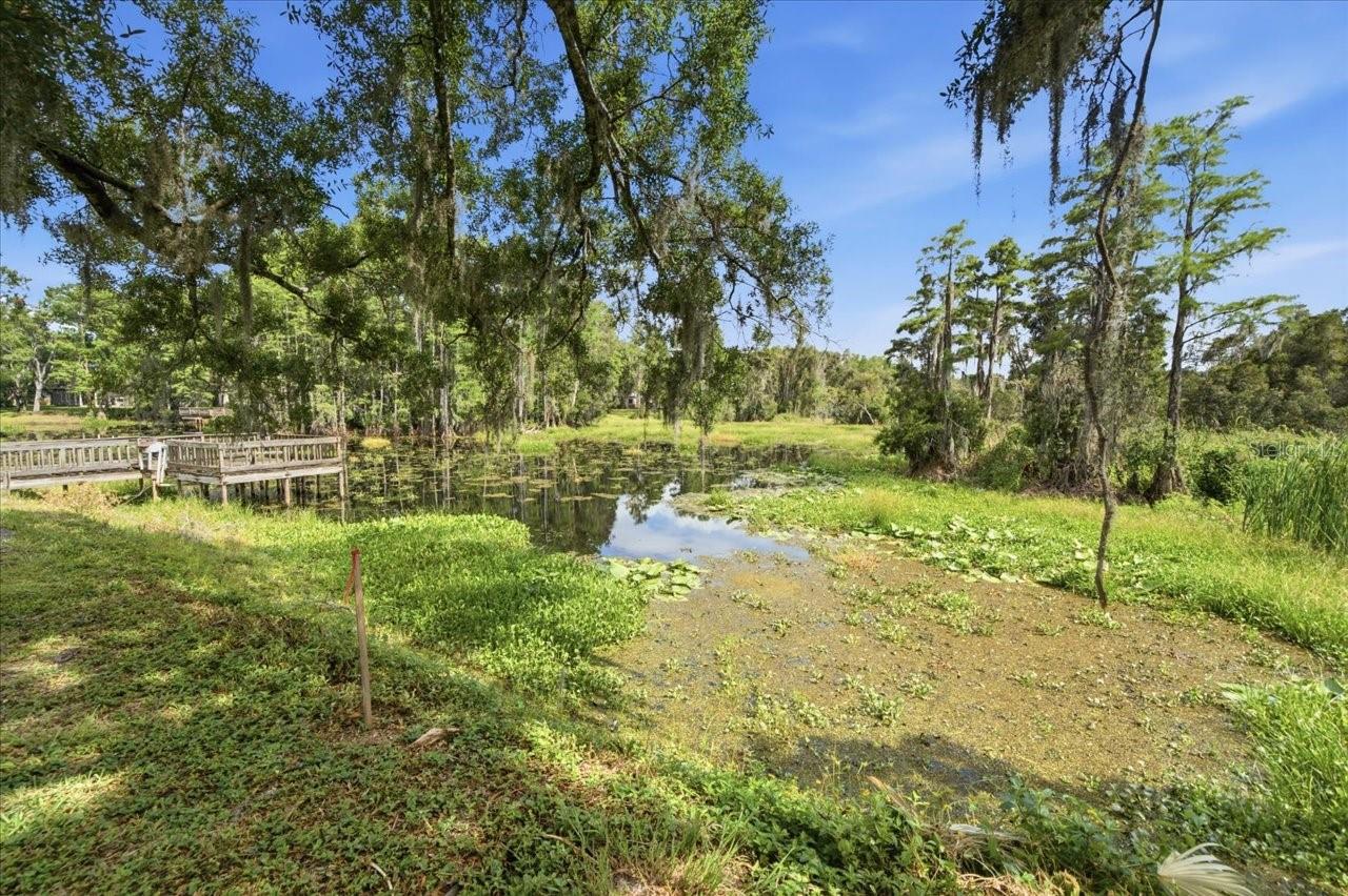 LAKE MAGDALENE WOODS LOT 9 REPLAT - Land