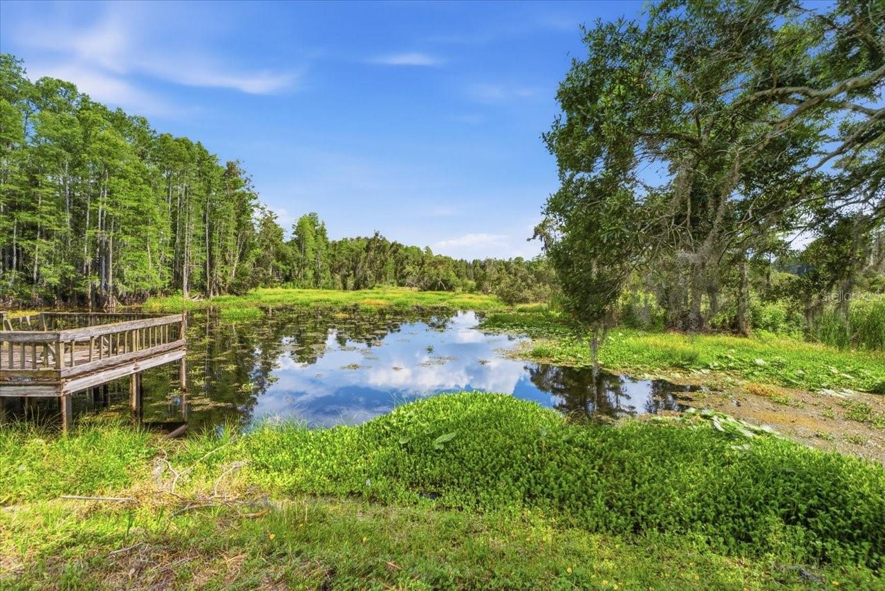 LAKE MAGDALENE WOODS LOT 9 REPLAT - Land