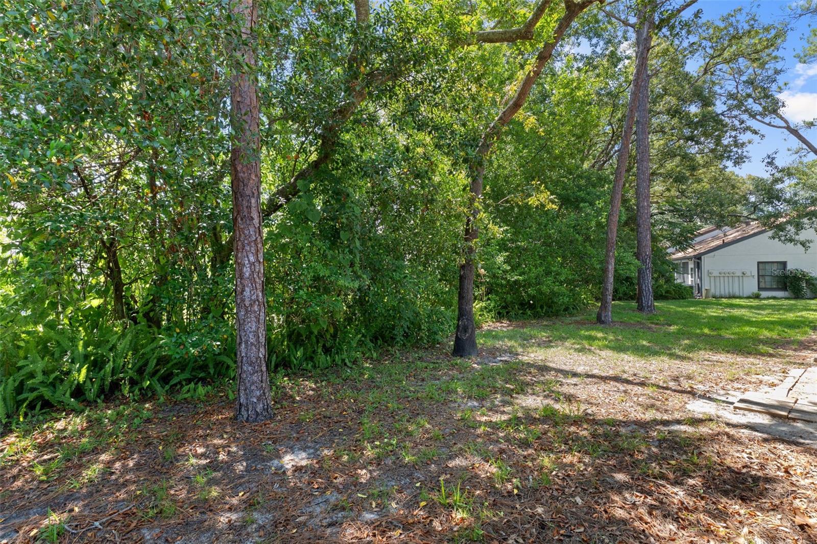 TMBR PINES PN GR VL - Residential