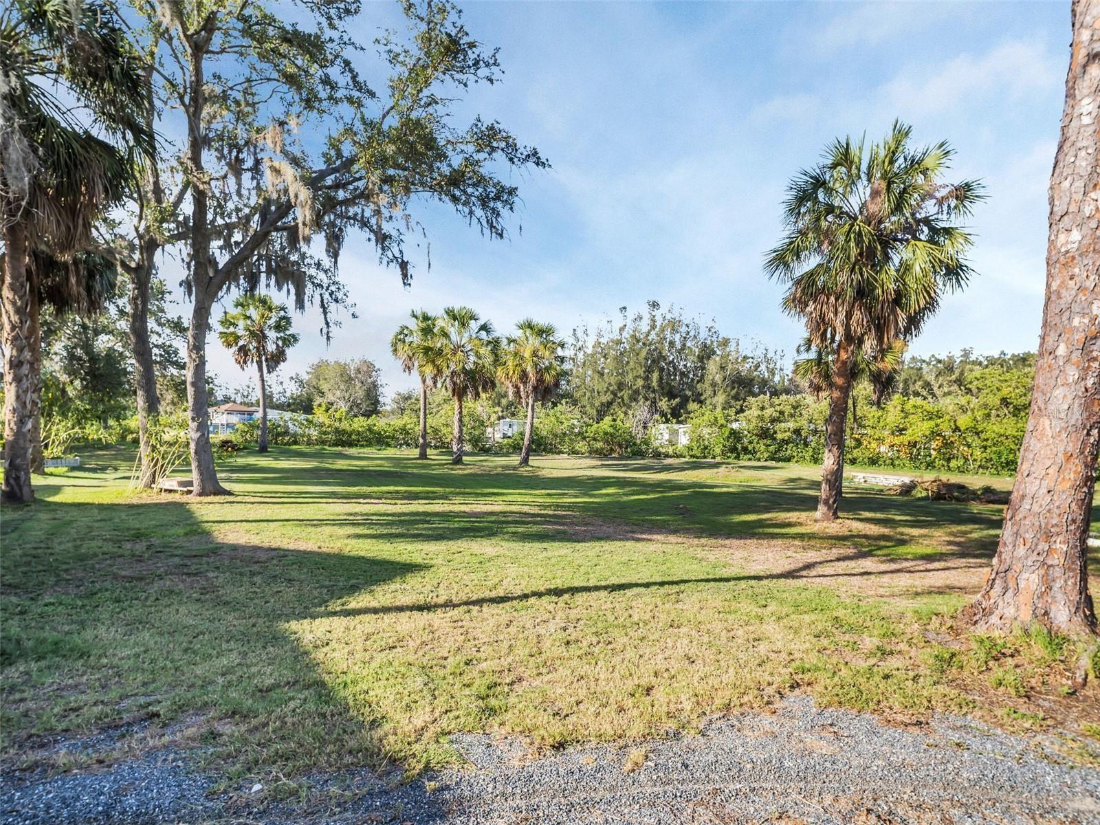 TAMPA TARPON SPGS LAND CO - Land
