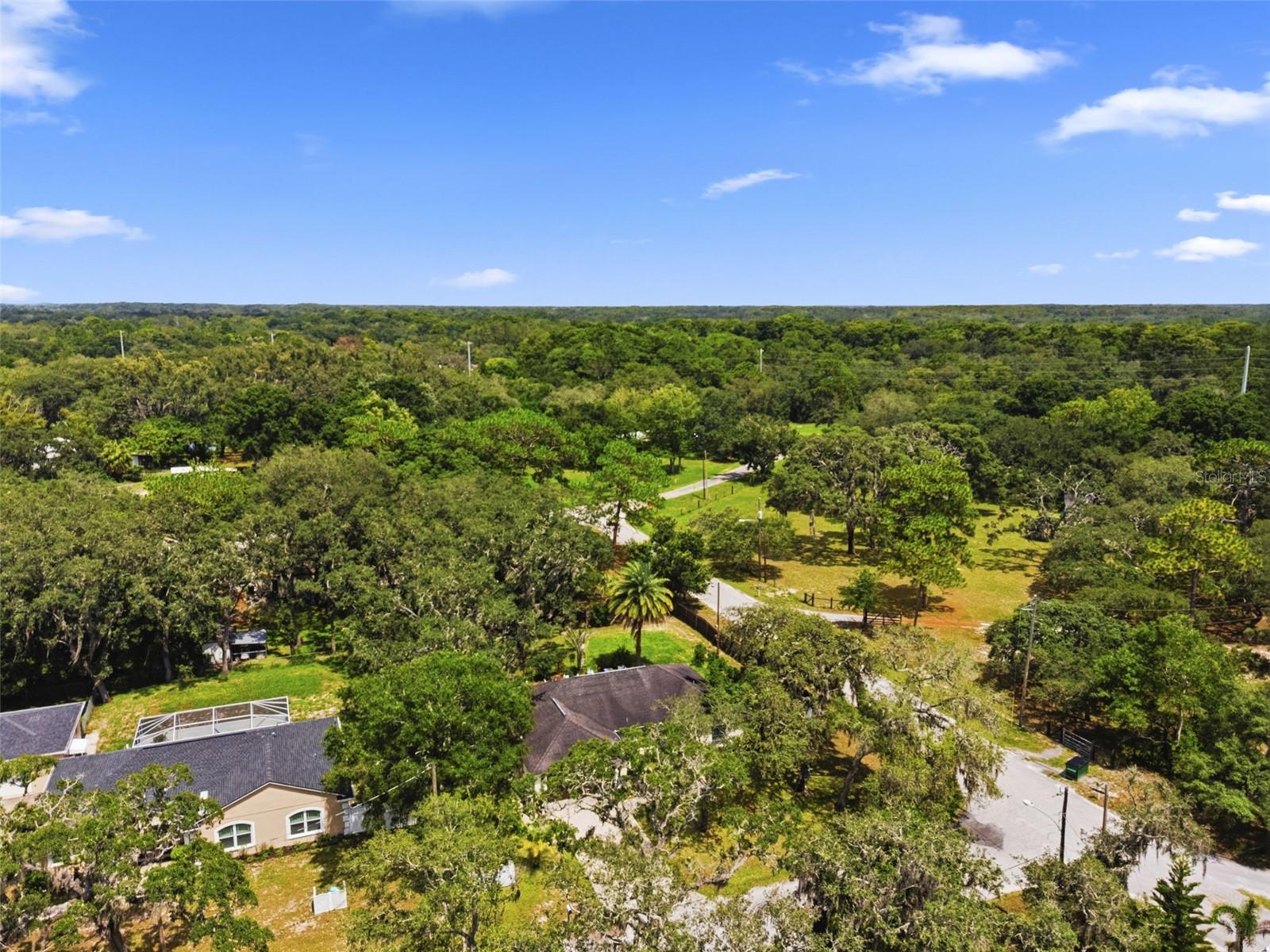 GRIFFIN PARK - Residential