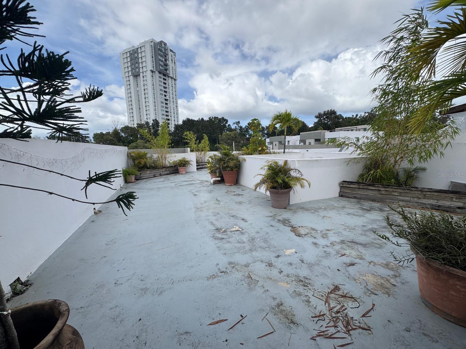 PASEO DEL BOSQUE - Residential