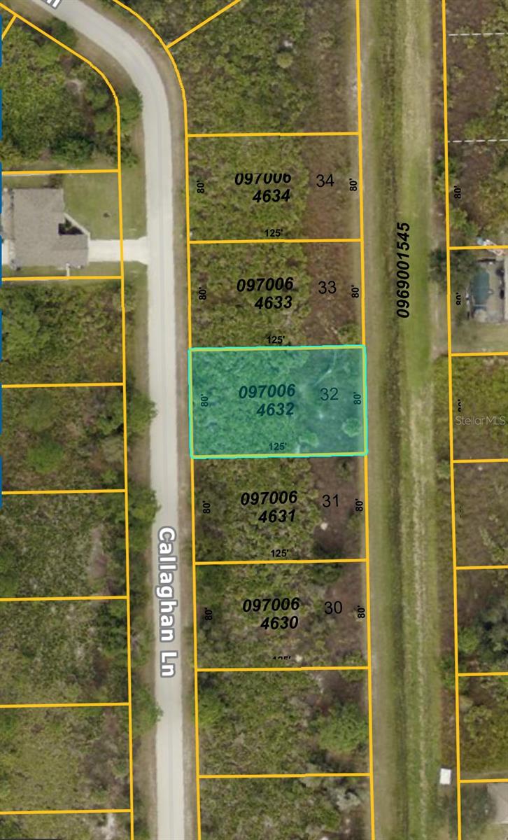 Looking for the perfect spot to build your dream home? This affordable lot sits on a quiet street, Approx. 5 
miles from I-75, making your commute a breeze! Less than 20 miles to Venice Beach & Pier, with stunning sunsets waiting for you! Enjoy nearby shopping, dining, golf courses, and world-class fishing. Plus, sports fans will love being close to MLB Spring Training for the Braves, Red Sox, Orioles, Twins, and Rays! Priced to sell—great for investors! Don’t miss out on this opportunity! If this isn't the lot for you we have 20+ to choose from!
