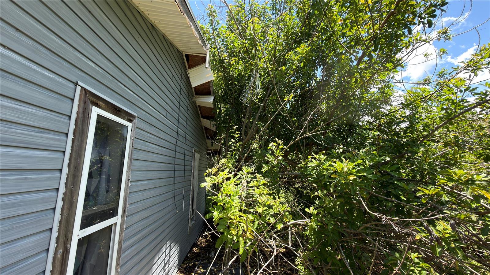 ACREAGE - Residential