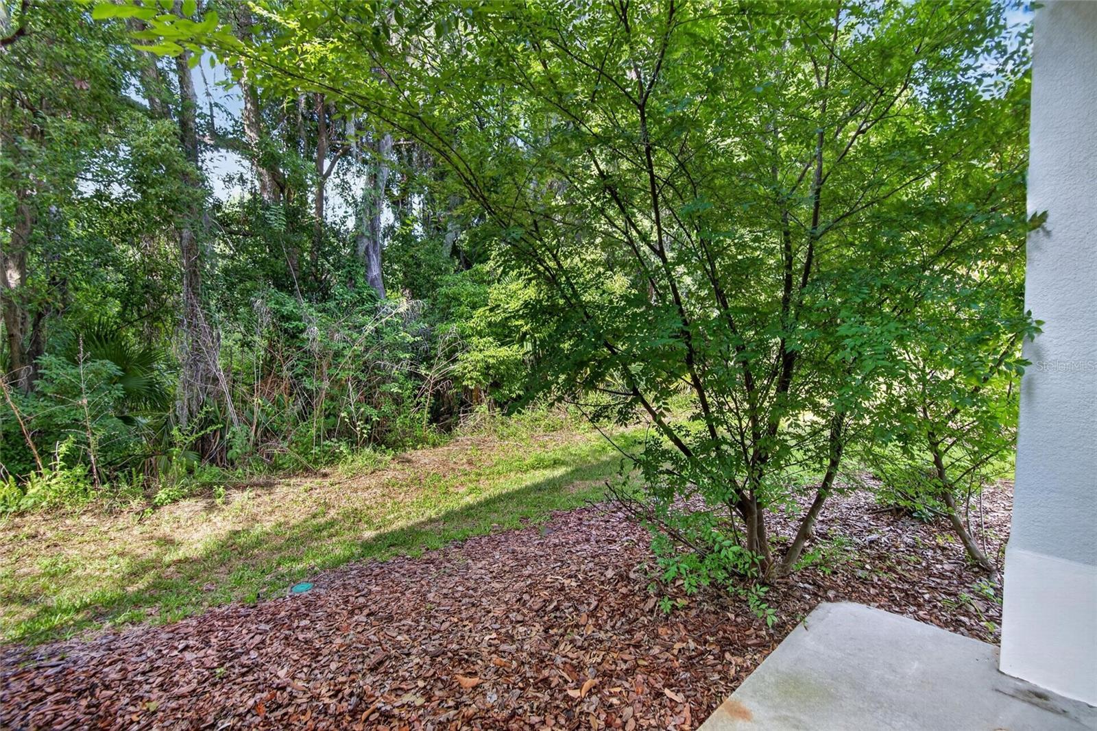 WALDEN WOODS REP - Residential
