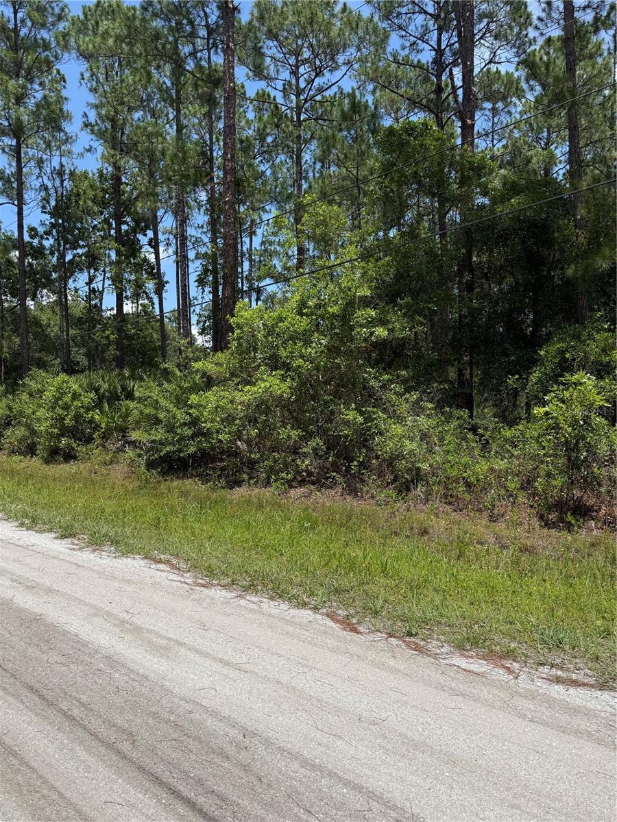 DAYTONA NORTH SUB - Land