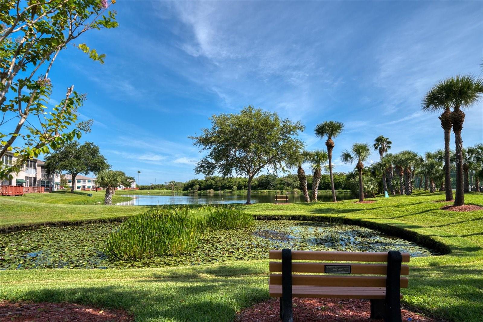 LONG BAYOU - Residential