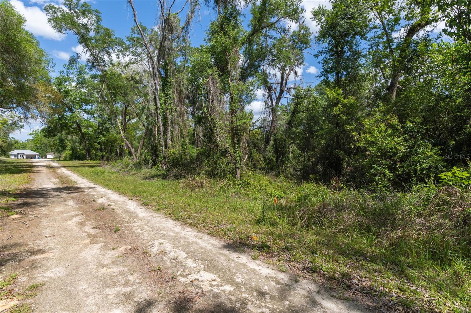 RIDGE MANOR ESTATE - Land