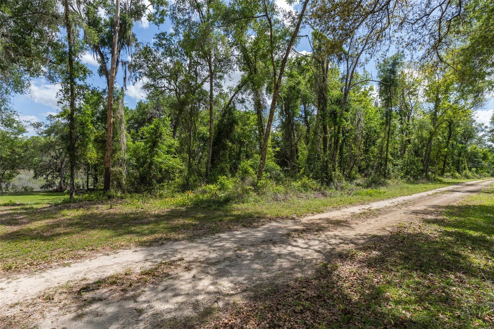 RIDGE MANOR ESTATE - Land