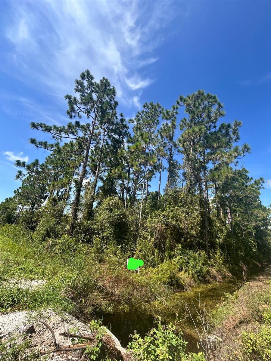 PLACID LAKES SEC 19 - Land