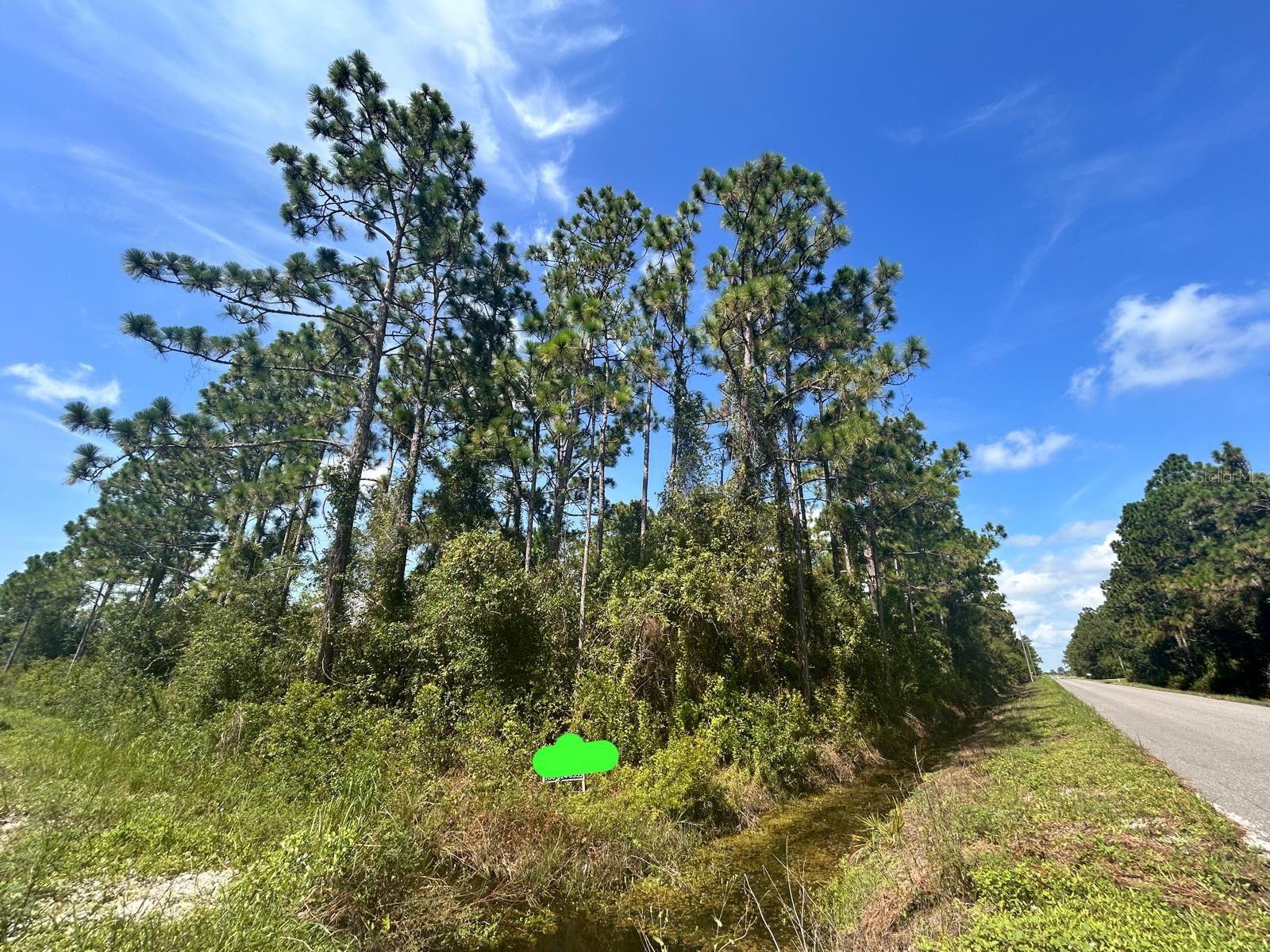 Rare opportunity for builders, investors, or future homeowners! This offering includes 4 adjacent lots on Challenger Street NW in the desirable area of Lake Placid. Perfect for a developer looking to build multiple homes or an investor planning for long-term growth. A great option as well for a future homeowner who wants extra space, privacy, or the flexibility to build later. Located in a peaceful and fast-growing residential area with access to schools, parks, and local amenities. Secure your piece of Florida now—land like this is getting harder to find!
 REALTORS, PLEASE CHECK BROKER REMARKS FOR ALL OFFERS.