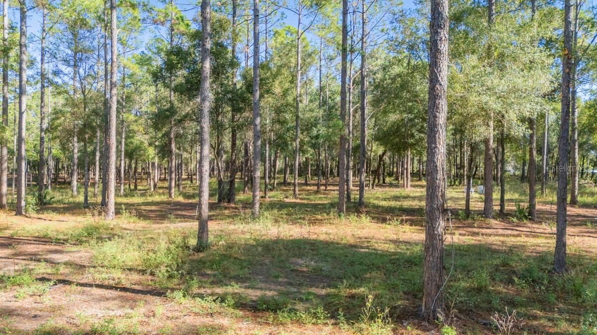 LAKEWOOD RANCHES SUB - Land