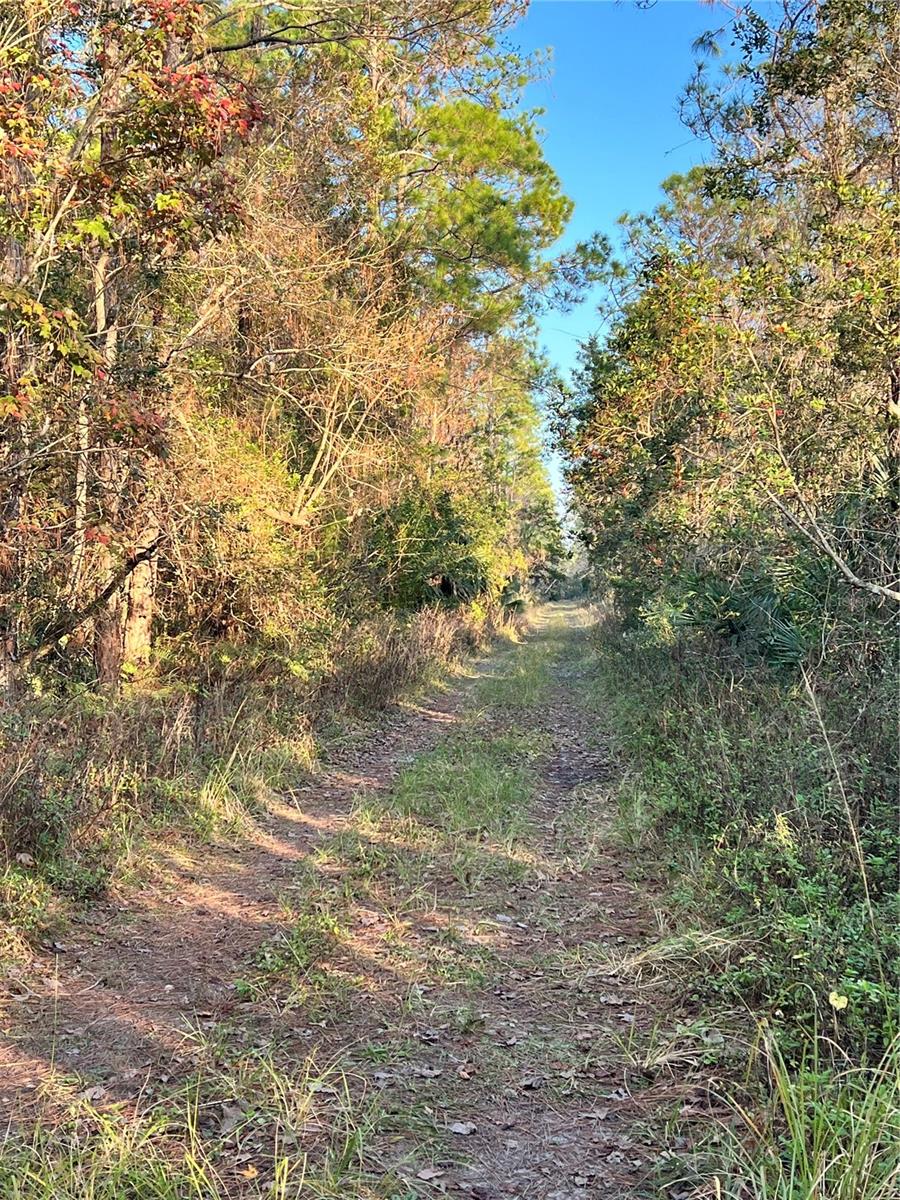 Two contiguous 1.25 acre parcels. Total of 2.5 acres, zoned Industrial. Near the I-4 corridor and the Deland Crossings Industrial Park. Great investment!! This includes parcel ID#711701080080.