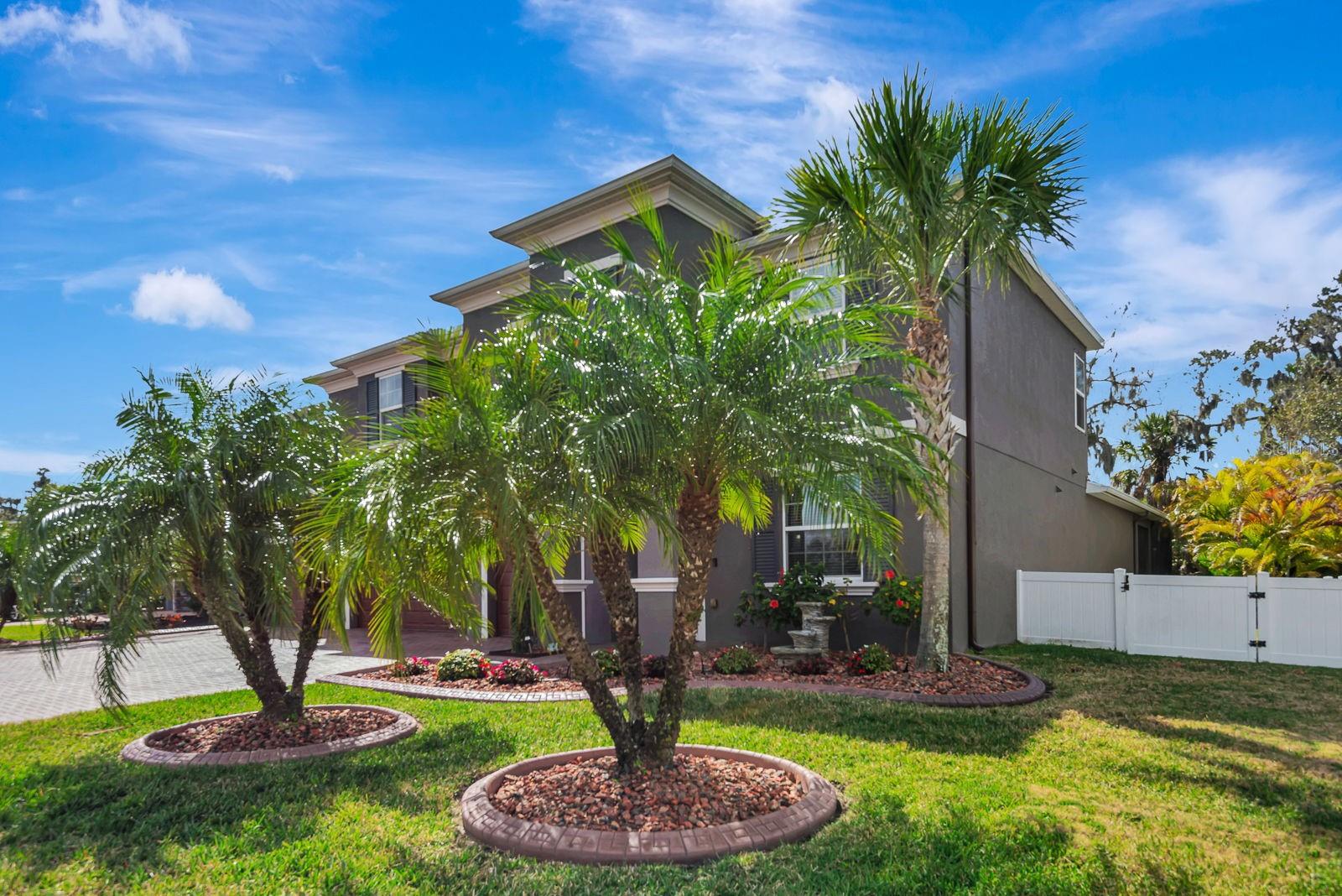 OAKLEAF HAMMOCK PH V - Residential