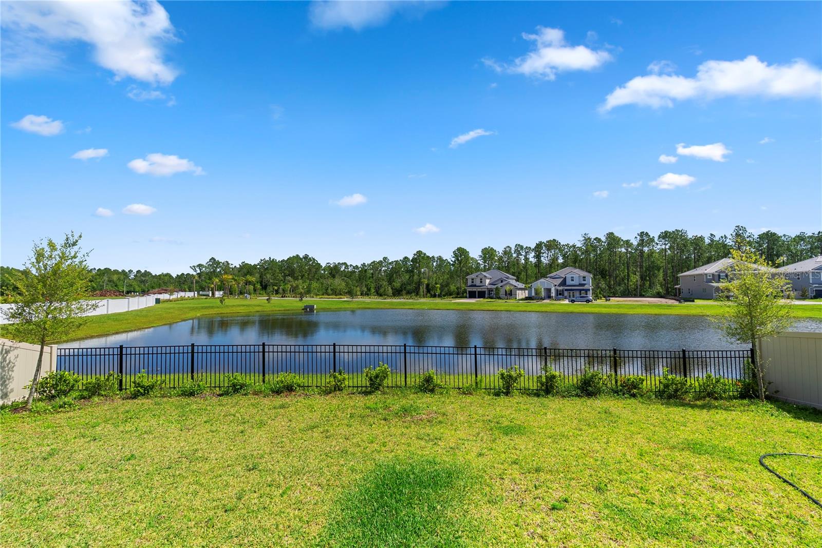 PALMS AT WINDERMERE - Residential