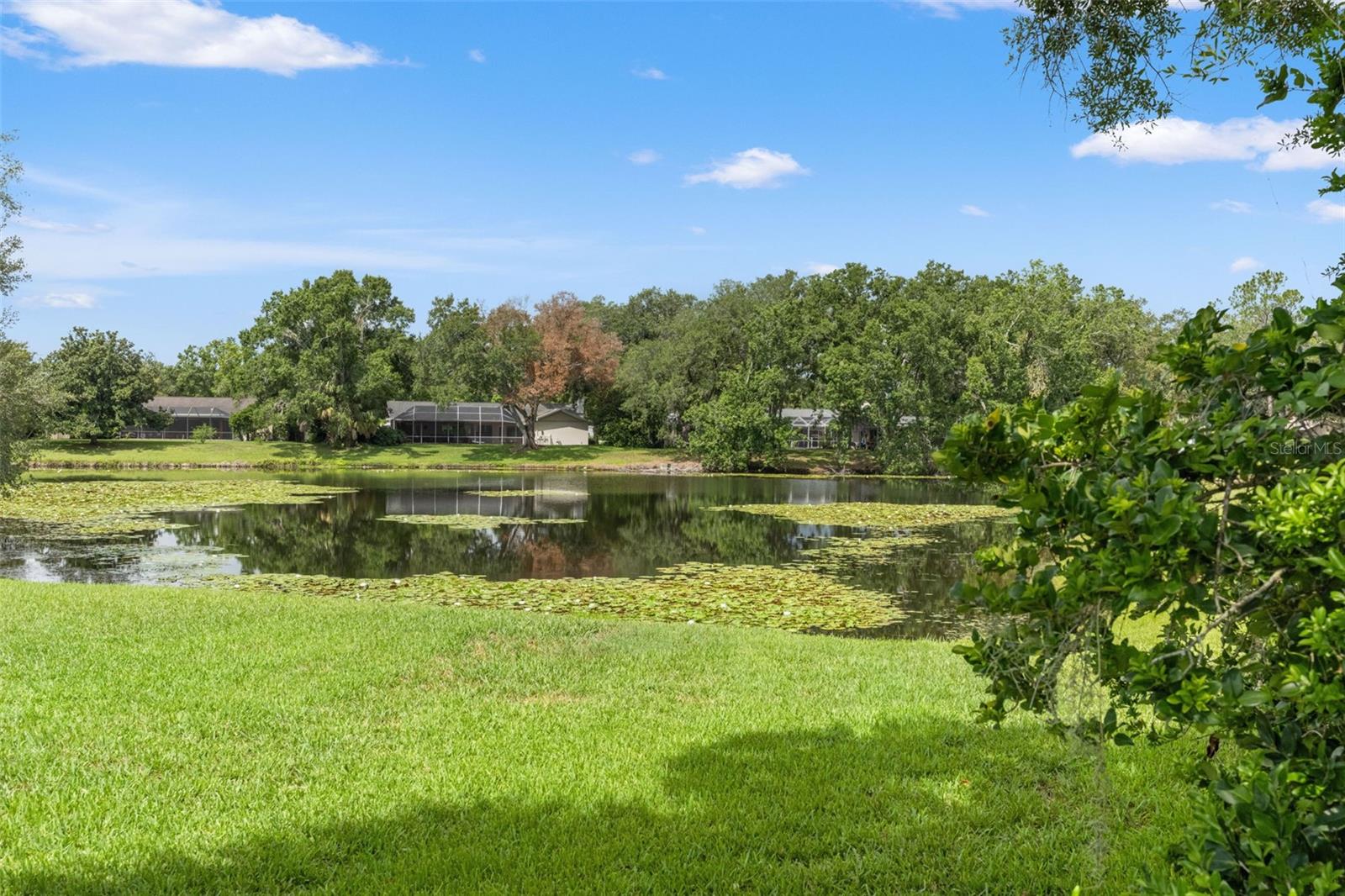 CARROLLWOOD VILLAGE PH TWO - Residential