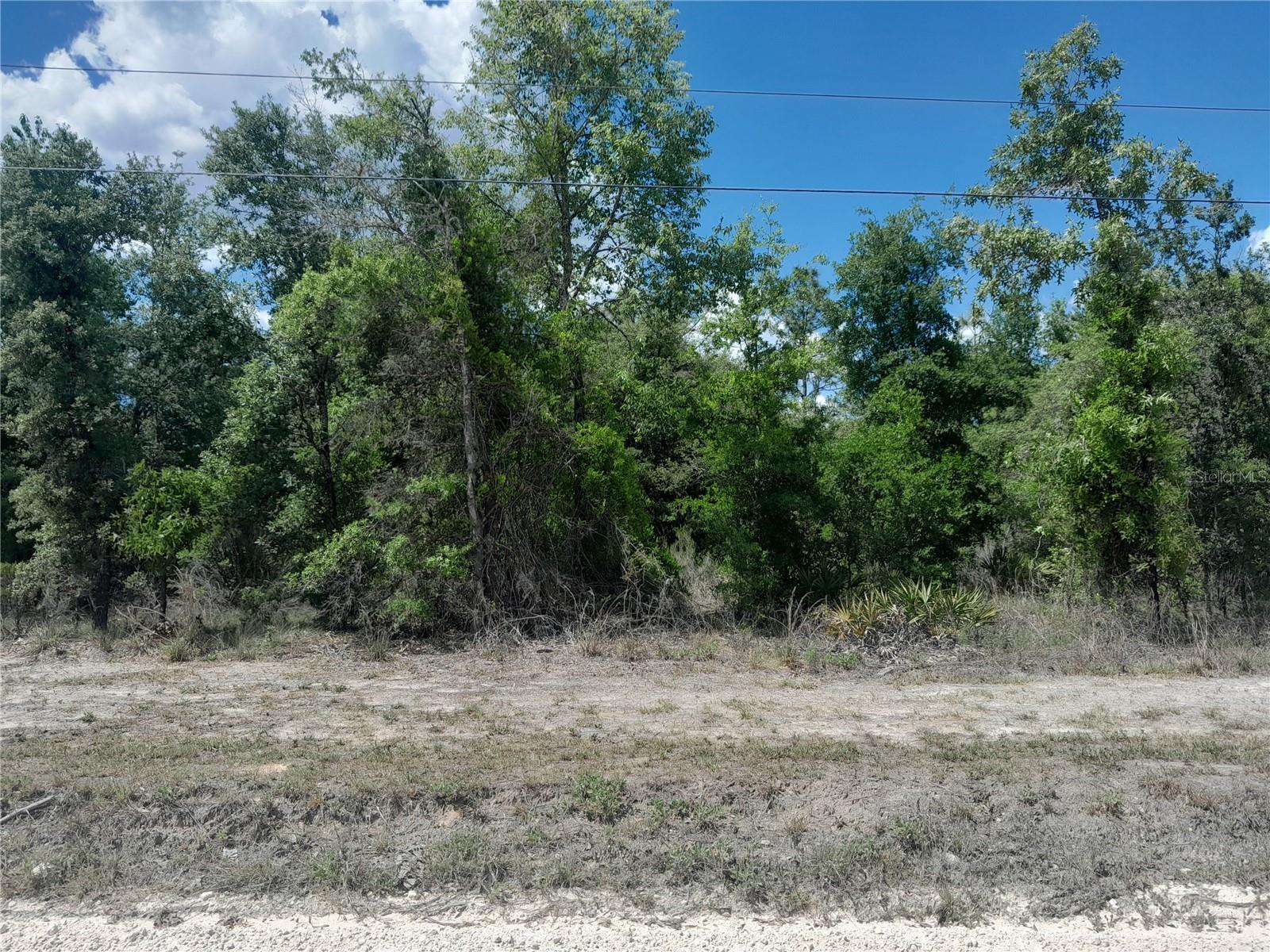 RECENTLY REDUCED PRICE TO 109K!!! THIS IS AN INCREDIBLE DROP IN PRICE! DO NOT MISS THIS OPPORTUNITY! FOREST PARK, 3.74 ACRES. Just off a paved road, 2nd lot in. with beautiful oaks and pines, no flood zone, high and dry with no HOA fees.
Zoned for site built or manufactured homes. Close to HWY 27 and 10 minutes to Williston for shopping, salons, restaurant and businesses.
Just 35 minutes to Gainesville, Ocala, Dunnellon and Cedar Key, for outdoor sports and Equine activities.  Zoned Rural Residential. 325.76 front footage, approx 500 on both sides and 324.79 on the back side.