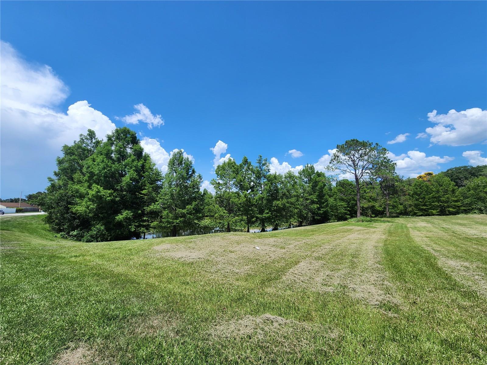 TIMBERLEAF VILLAGE PH 01 - Residential