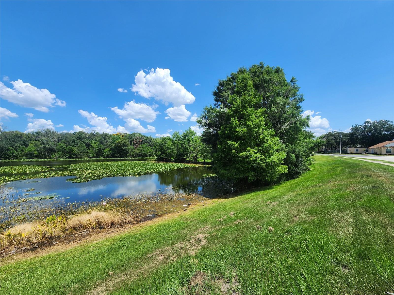 TIMBERLEAF VILLAGE PH 01 - Residential
