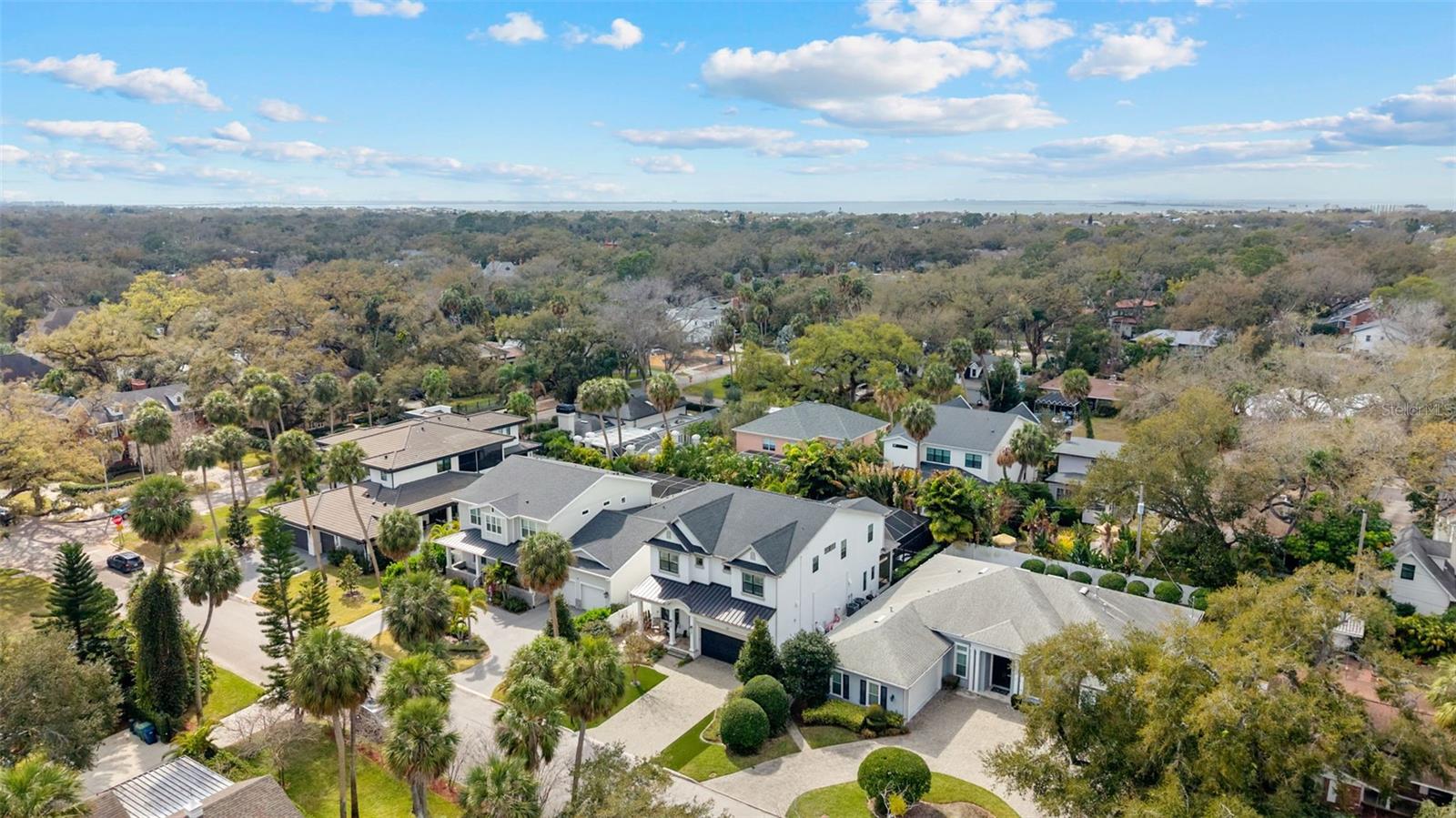 PALM PARK - Residential