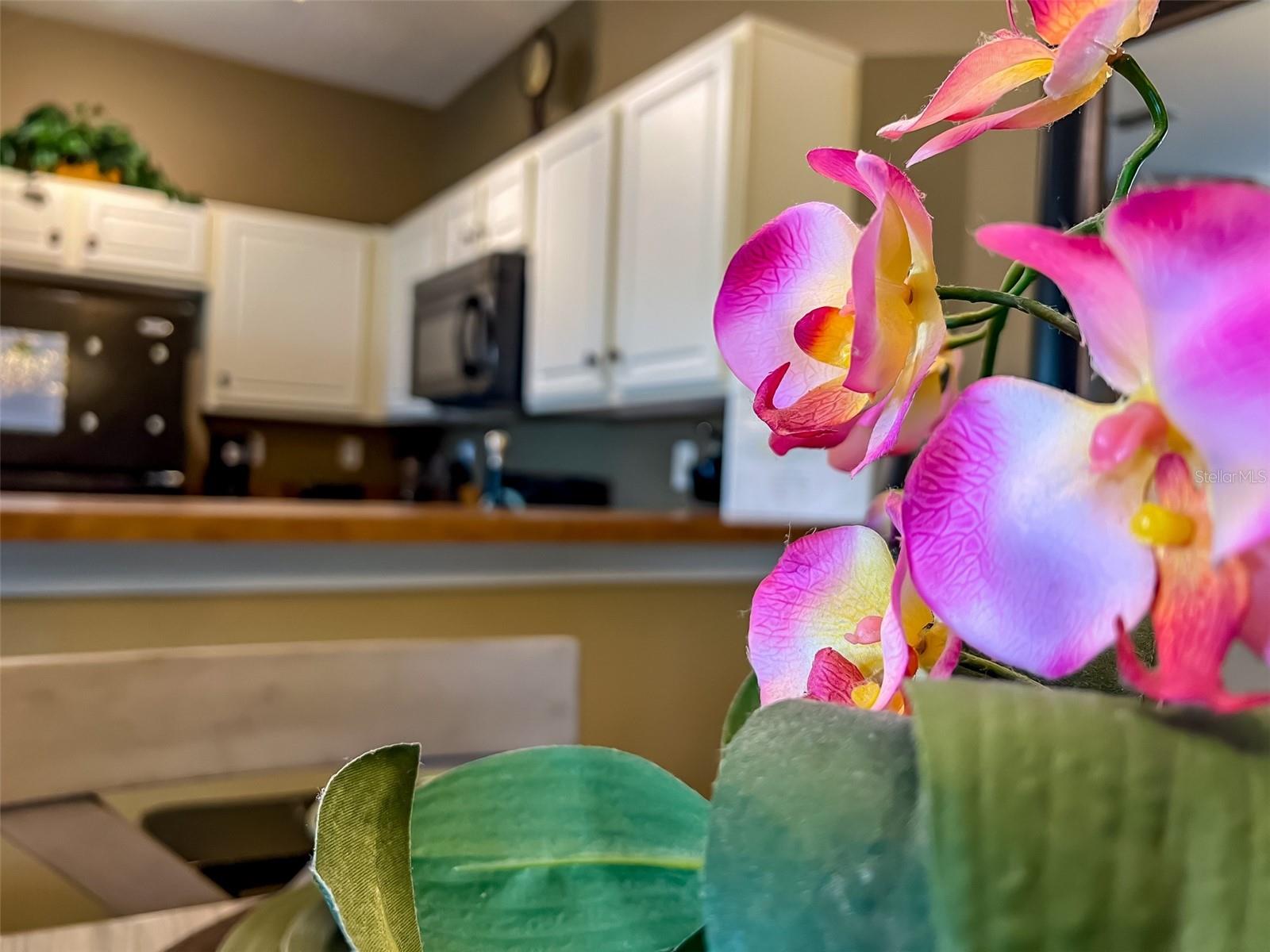 OAKWATER CONDO PH 20-23 - Residential