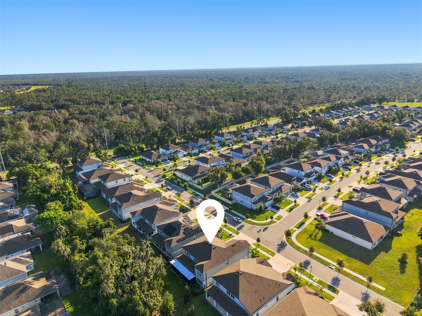 HAMMOCK CREST - Residential