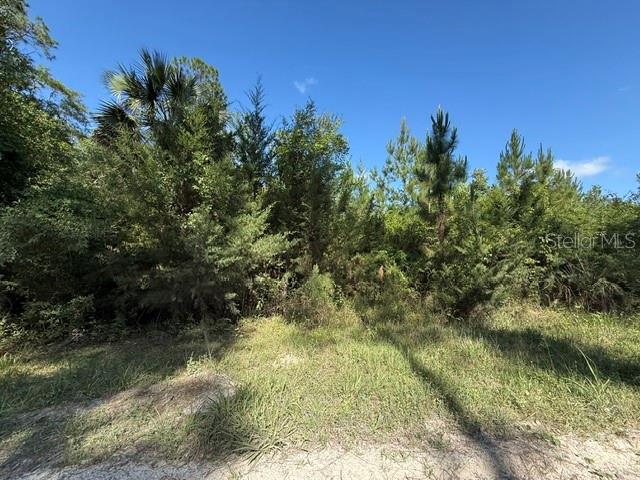 Your private slice of Old Florida is waiting! Discover the freedom and tranquility of country living on this beautiful 4.73-acre parcel in rural Bunnell. Tucked away on a peaceful country dirt road, this property offers the privacy buyers crave while still providing the flexibility to create the lifestyle they’ve been dreaming of. With the rare advantage of road access from both the front and rear of the property, the possibilities for layout, access, and future use are even greater.

Previously timbered around 2012, this property offers a fantastic opportunity to shape the land to fit your vision—whether that’s a private homesite, country retreat, mini farm, homestead, or recreational getaway. Imagine star-filled nights, room to roam, space for animals, and the quiet charm of rural Florida living.

A small portion of the property may contain wetlands, but there is still incredible potential here for the right buyer looking to secure acreage in a growing area at an attractive opportunity. Buyers should complete all inspections, feasibility studies, and due diligence to verify intended use, building suitability, and permitting requirements.

If you’ve been searching for affordable acreage with privacy, flexibility, and endless potential, this could be the one. Don’t miss your chance to claim your own piece of countryside paradise!

While information is believed to be accurate but not guaranteed. Buyer to do all due diligence.