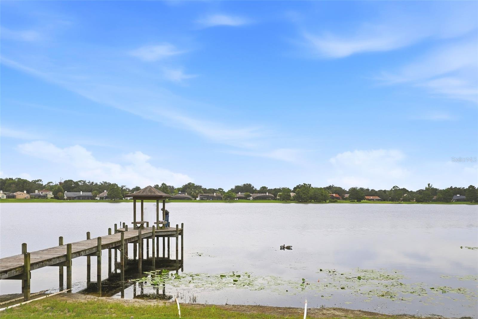 WEKIVA HUNT CLUB - Residential