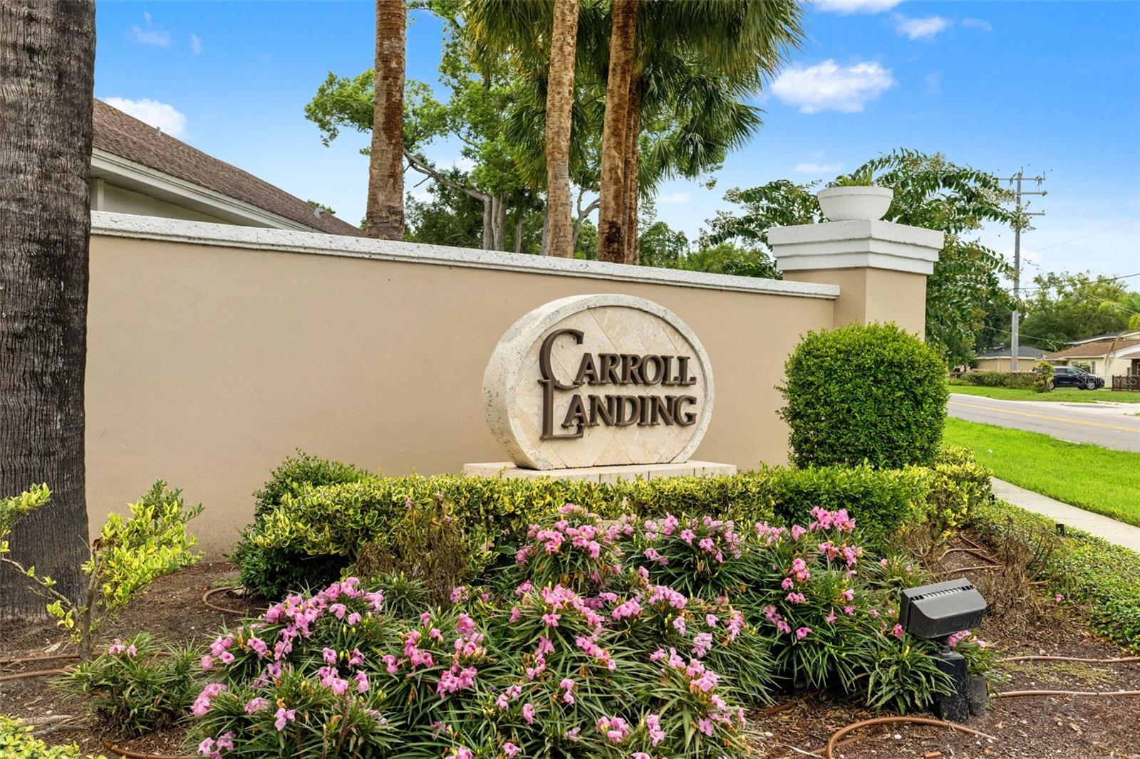 OLD CARROLLWOOD AREA/CARROLL LANDING - Residential