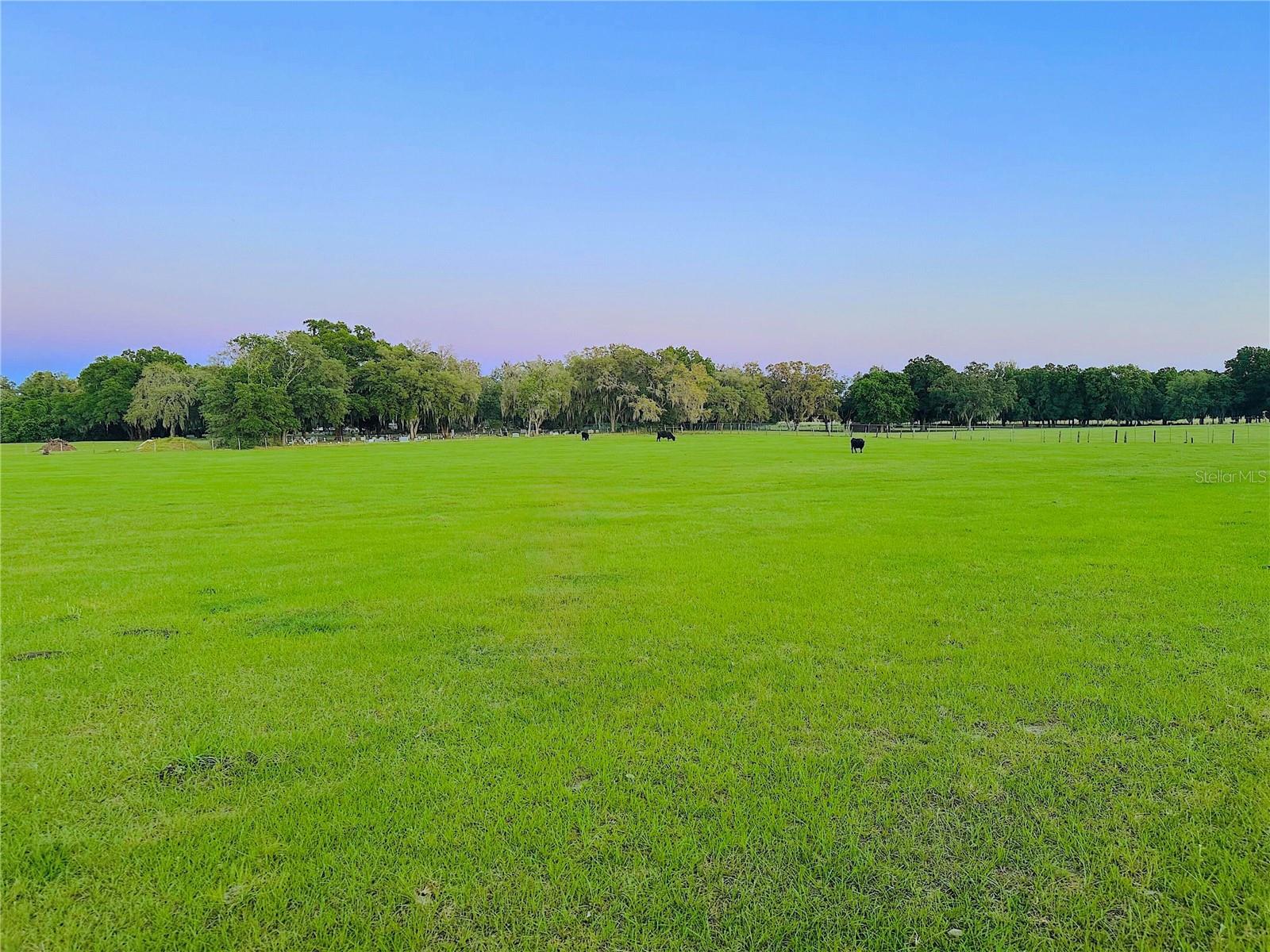 PRICED TO SELL: VAST & PRIME 10-ACRE PROPERTY NEXT TO THE LUXURY STONELAKE RANCH   *****   MID-CENTURY HOME, QUONSET METAL BARN, AND ACREAGE OF PEACE AND QUIET   *****   LIVE IN A SLICE OF PARADISE OR CREATE YOUR DREAM RETREAT IN THIS CANVASS OF SERENE AGRICULTURAL LAND  

>>>>>   Renovated home with Wi-Fi enabled air conditioning and heating system each zone, updated floors, and a chef’s delight kitchen   
>>>>>   Equipped with top-of-the-line Fulgor Milano Appliances: Sophia Professional 48-inch Gas Range, 48-inch Pro-Range Hood, French-door Refrigerator, and Dishwasher   
>>>>>   Equipped with farmhouse 33-inch  stainless-steel apron sink with commercial style pull-down kitchen faucet and garbage disposal   
>>>>>   Equipped with tankless under sink reverse osmosis (RO) water system with dedicated drinking faucet   
>>>>>   Includes a 1,380 square feet Quonset metal barn excellent for workshop, boat/RV storage, or agricultural equipment   
>>>>>   Private wells and septic systems   
>>>>>   Tucked away in serene privacy, this property is strategically and conveniently located close to international airports (Tampa and Orlando), spectacular sun-kissed beaches (Clearwater and St. Pete), and popular attractions (Busch Gardens, Disney World, and Legoland)   
>>>>>   Buyer to verify all information, measurements, and zoning restrictions independently