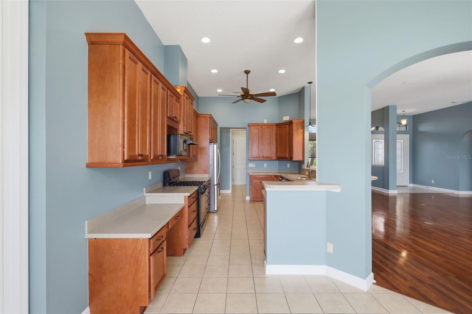 LAKES OF MOUNT DORA - Residential