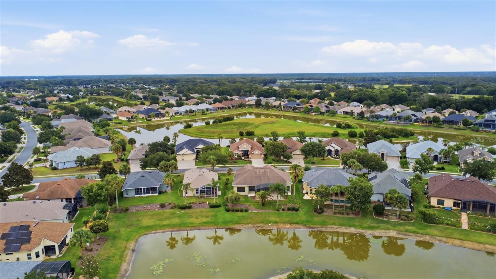 LAKES OF MOUNT DORA - Residential
