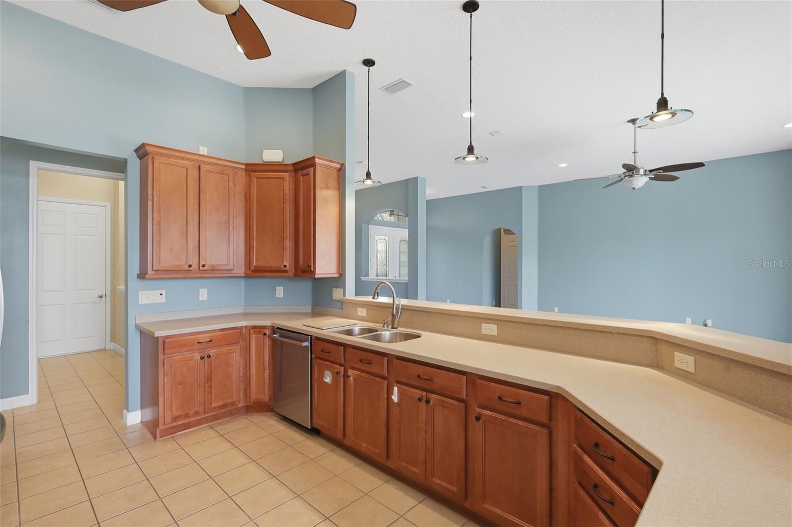 LAKES OF MOUNT DORA - Residential