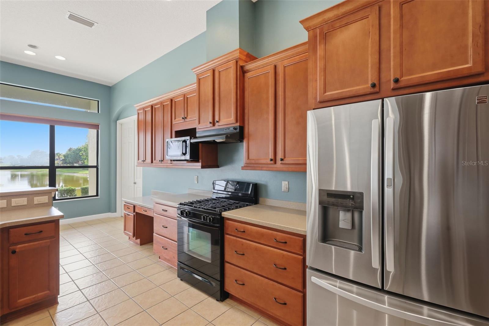 LAKES OF MOUNT DORA - Residential