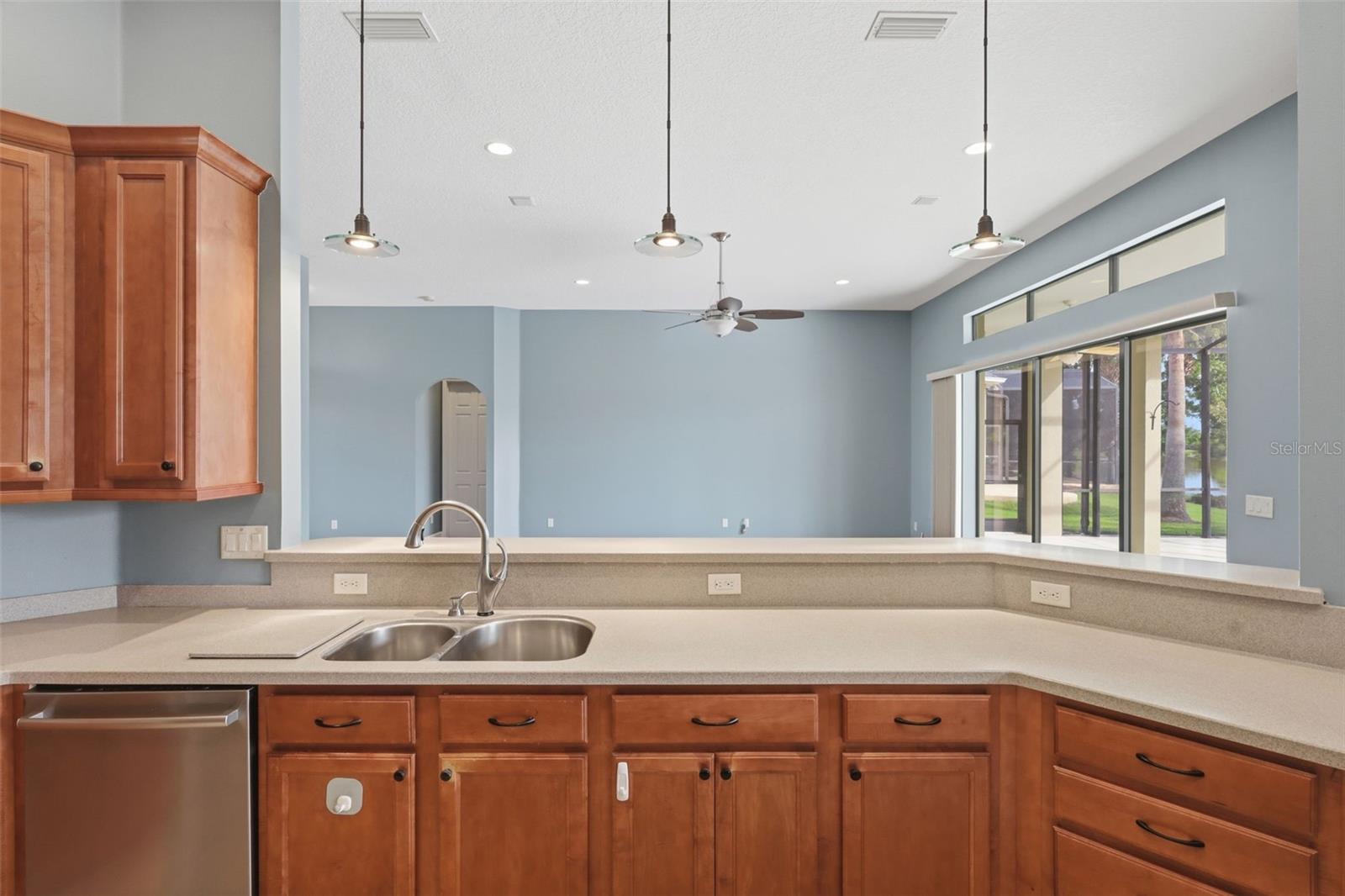 LAKES OF MOUNT DORA - Residential