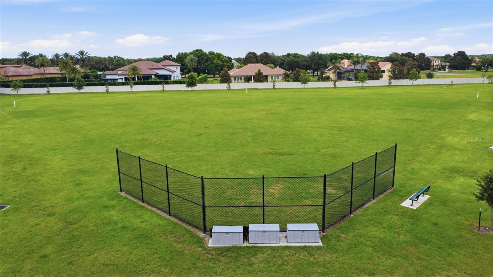 LAKES OF MOUNT DORA - Residential