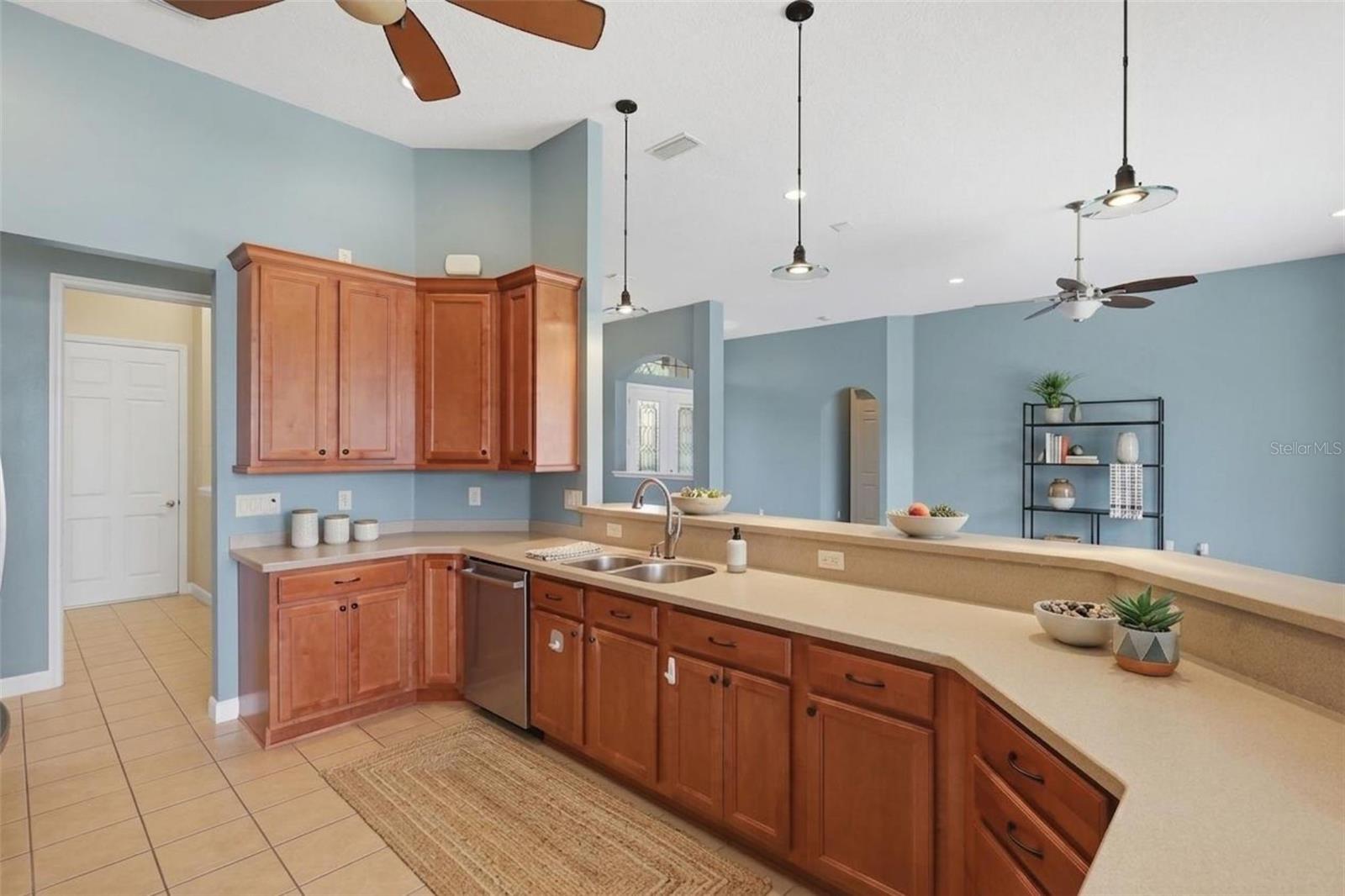 LAKES OF MOUNT DORA - Residential