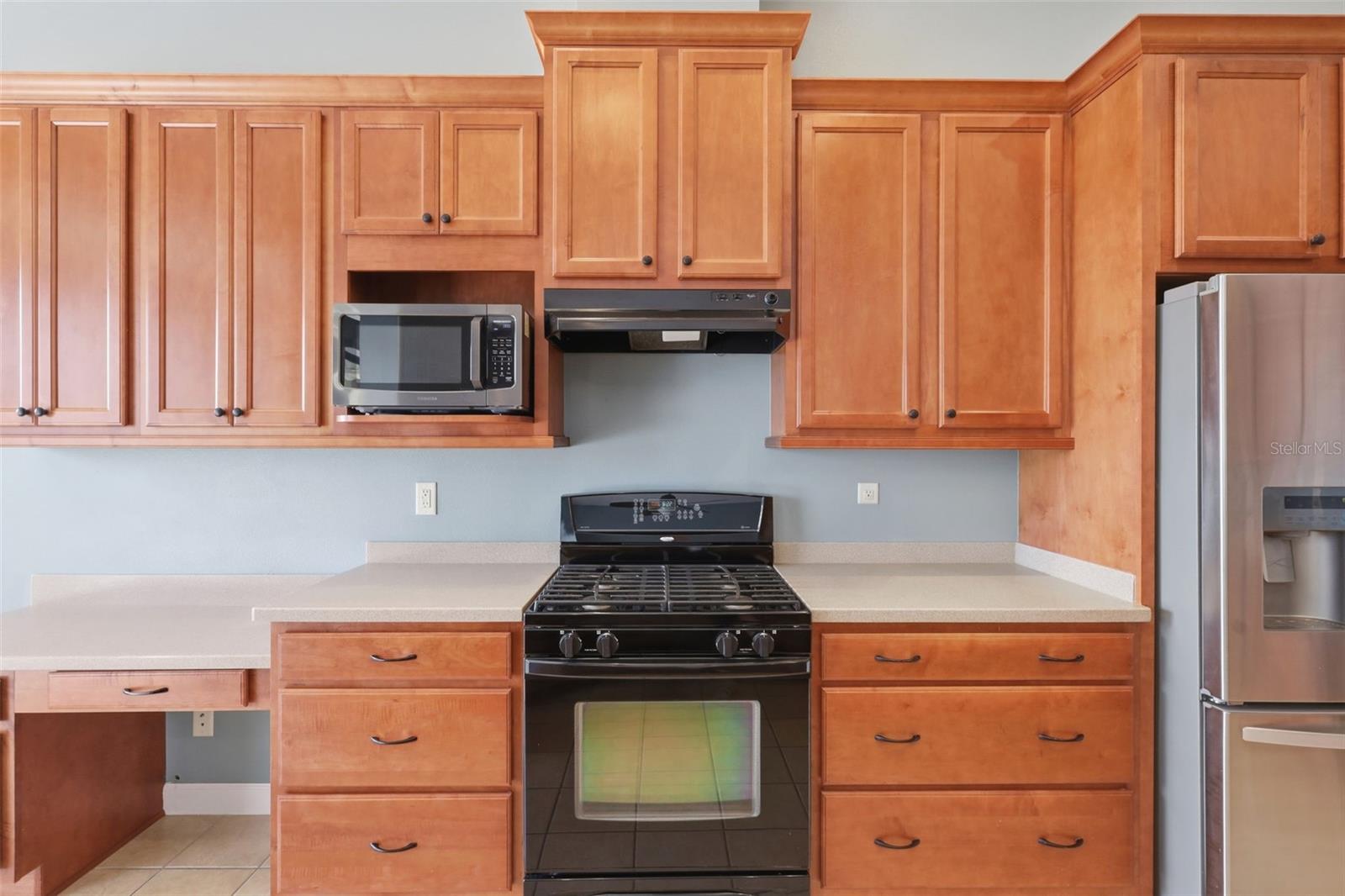 LAKES OF MOUNT DORA - Residential
