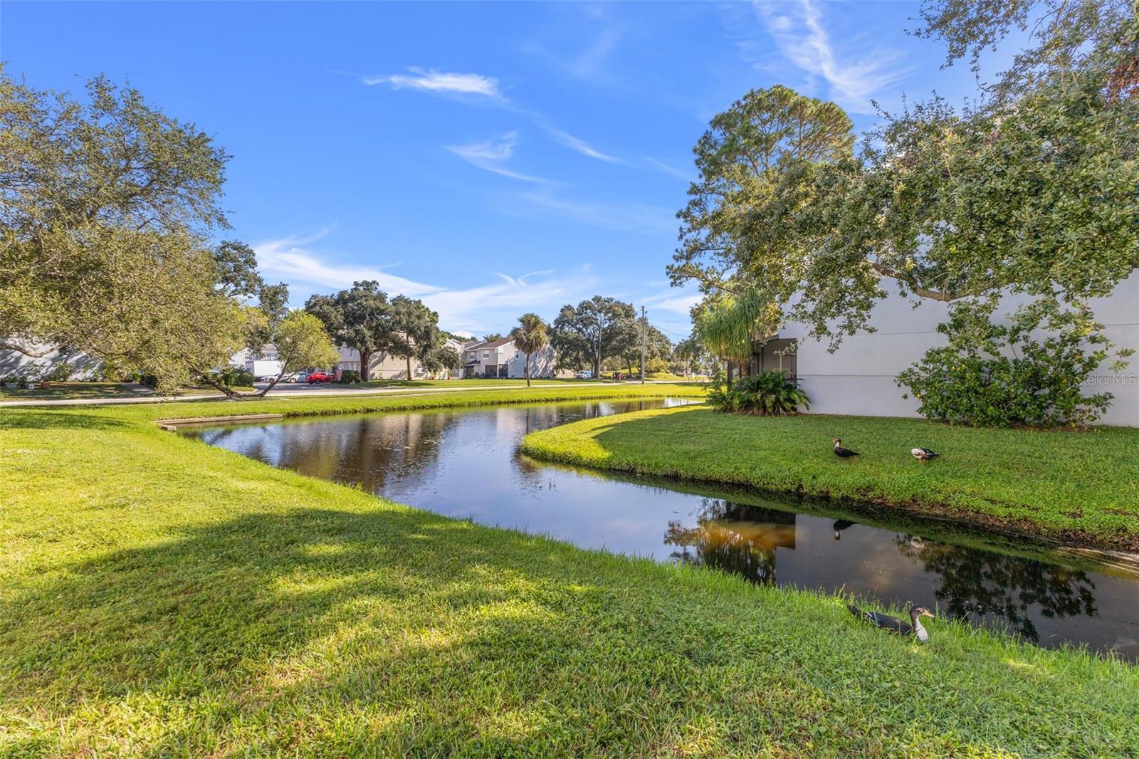 PINEBROOK ESTATES - Residential Lease