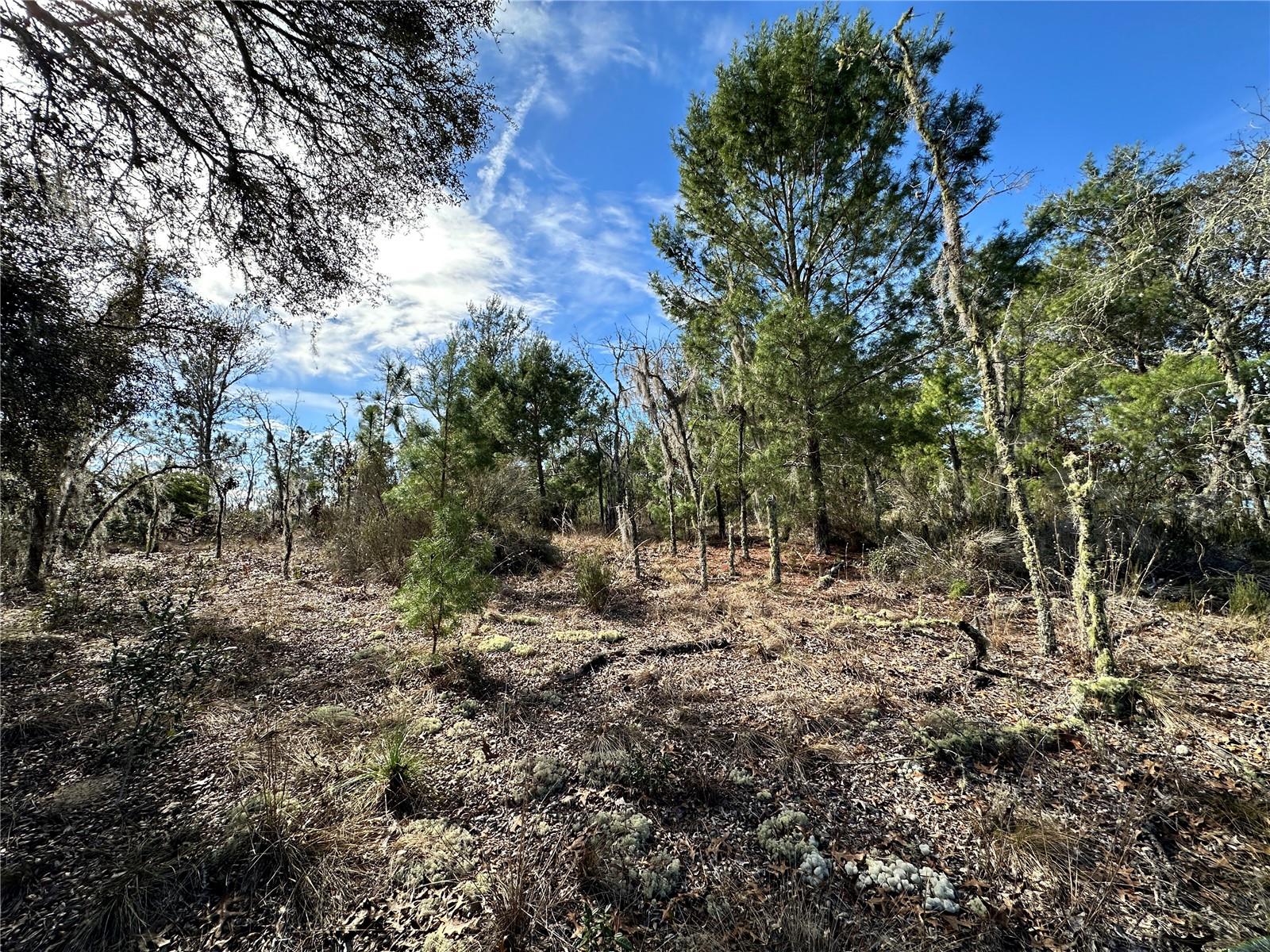 WILLISTON HIGHLANDS GOLF & COUNTRY CLUB 1/4 ACRE BUILDING LOT! A quarter acre (mol) in Williston Highland Golf & Country Club Estates subdivision has enough space to truly enjoy privacy, outdoor living, and future possibilities without the burden of maintaining a large property. Lot measures about 80' on the road and 125' deep. It’s the ideal size to build a comfortable home, create a backyard retreat, and still have room to grow, making it a smart investment and a place you’ll love long-term.