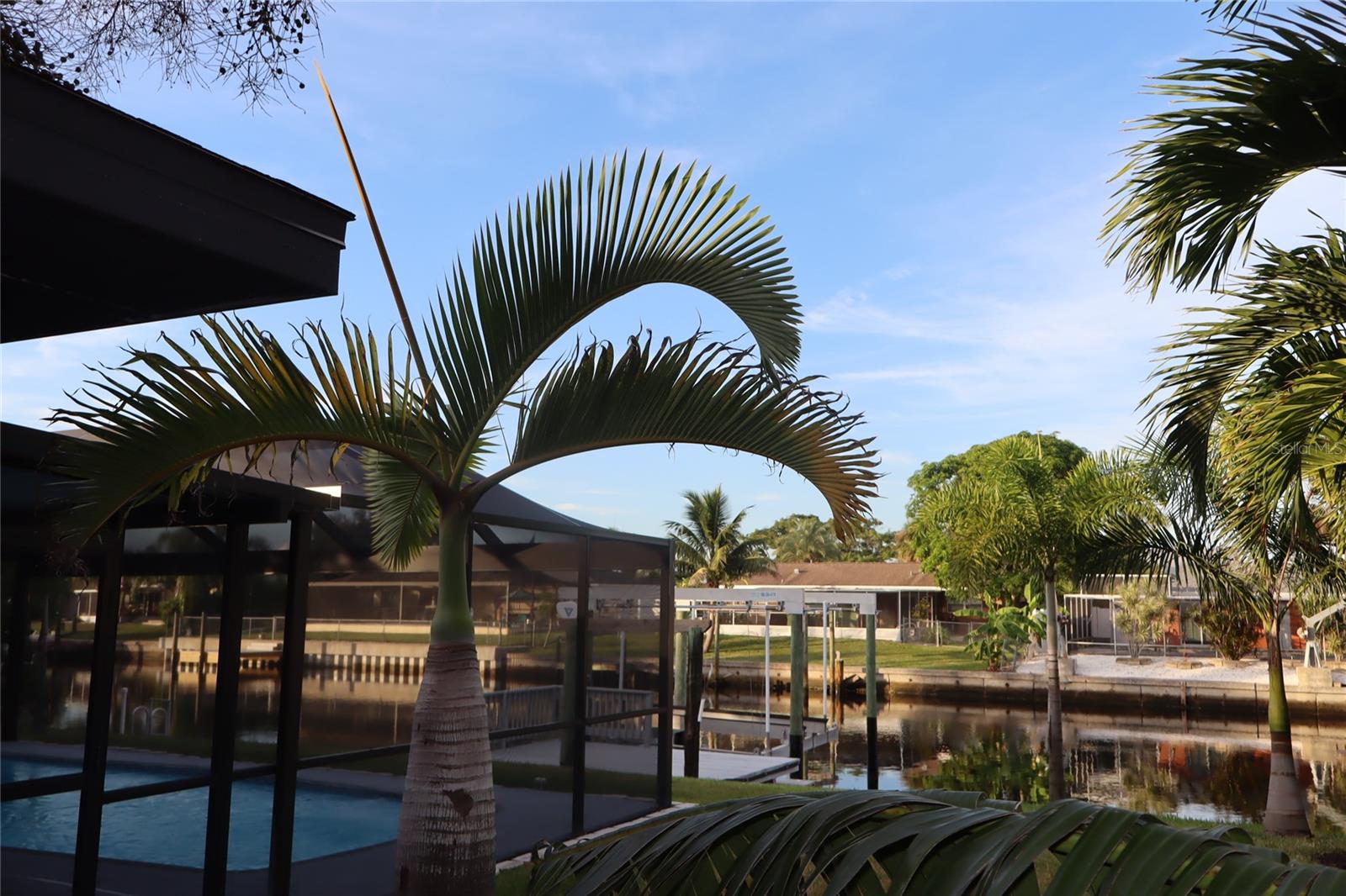APOLLO BEACH UNIT 08 A RESUBDI - Residential