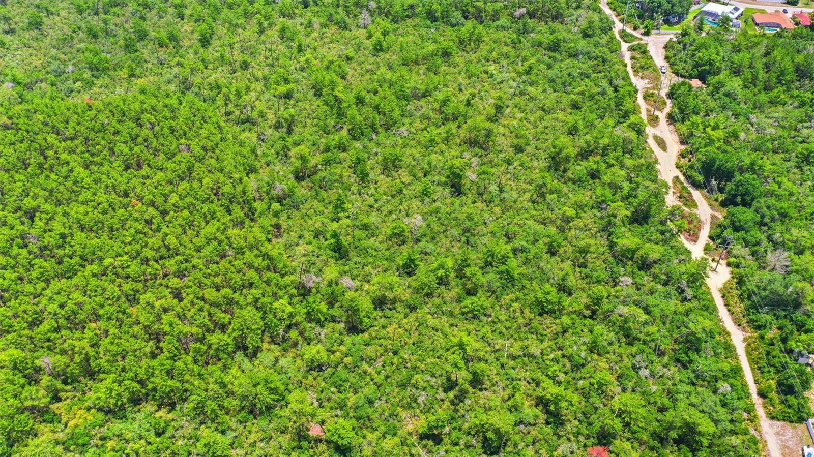 PINE VIEW ESTATES - Land