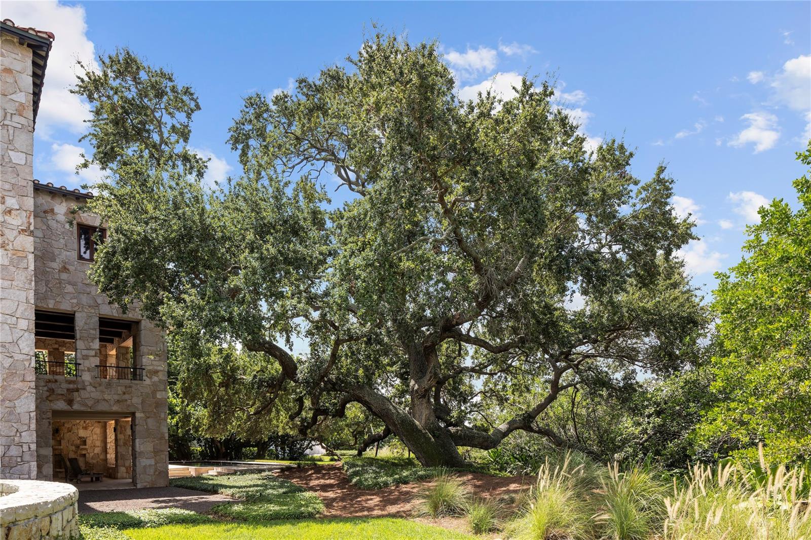 TIERRA VERDE - Residential